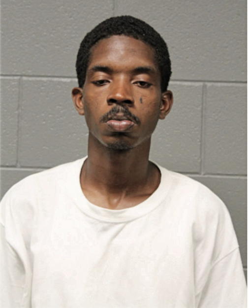 TYRONE L WASHINGTON, Cook County, Illinois