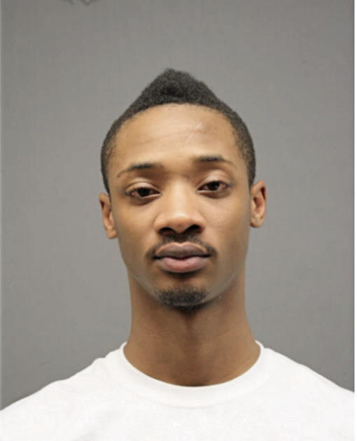 ANDREW W WILLIAMS, Cook County, Illinois