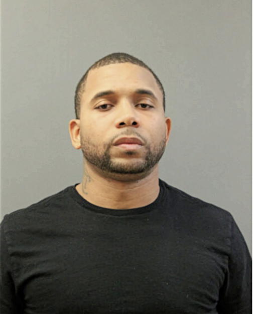 BRIAN K YOUNG, Cook County, Illinois