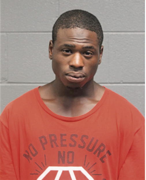 DAVID T YOUNG, Cook County, Illinois