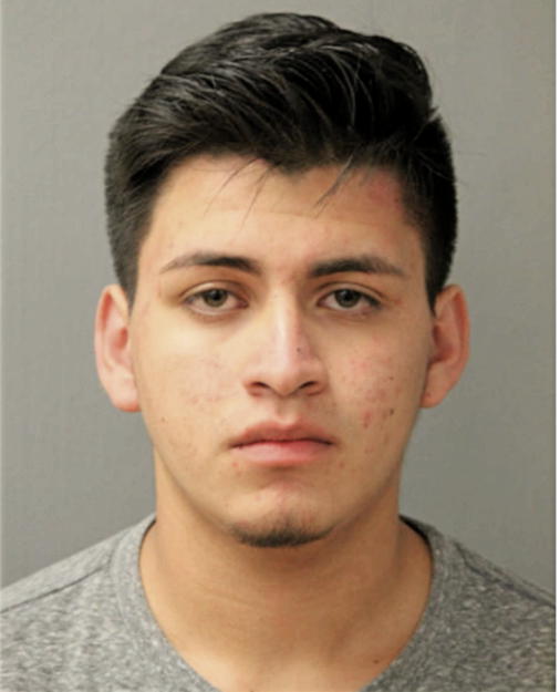 ALEJANDRO ZEPEDA, Cook County, Illinois