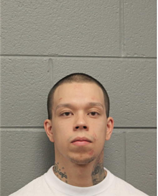 JOSE L ALVAREZ, Cook County, Illinois
