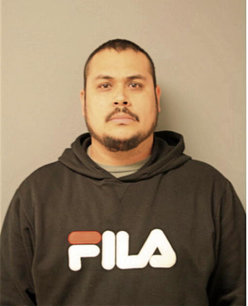 FRANCISCO ANTUNES-FERREIRA, Cook County, Illinois