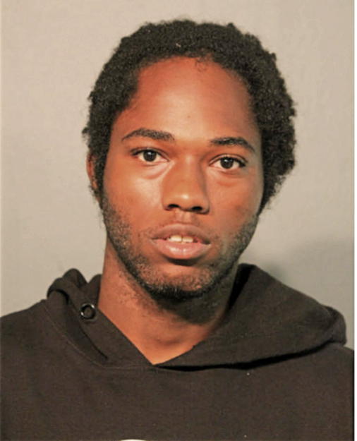 ROSHA J BANKS, Cook County, Illinois