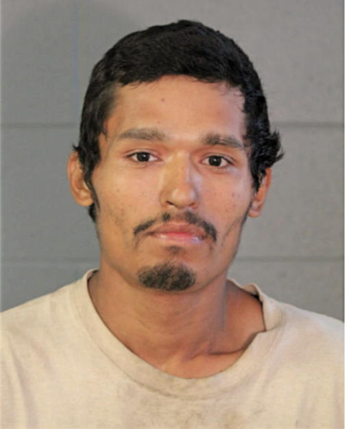 DAVID C CALVILLO, Cook County, Illinois