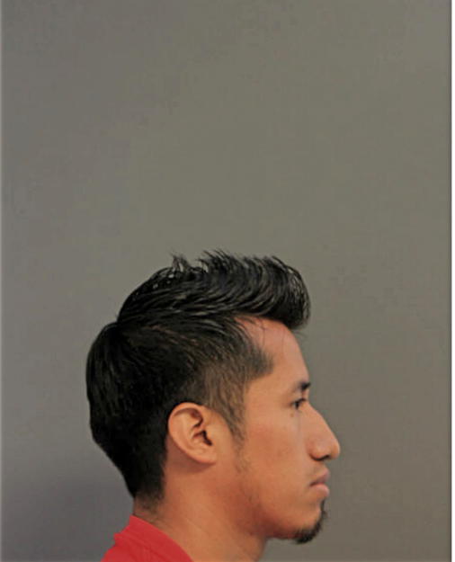 REYNALDO CARDENAS-RAMIREZ, Cook County, Illinois