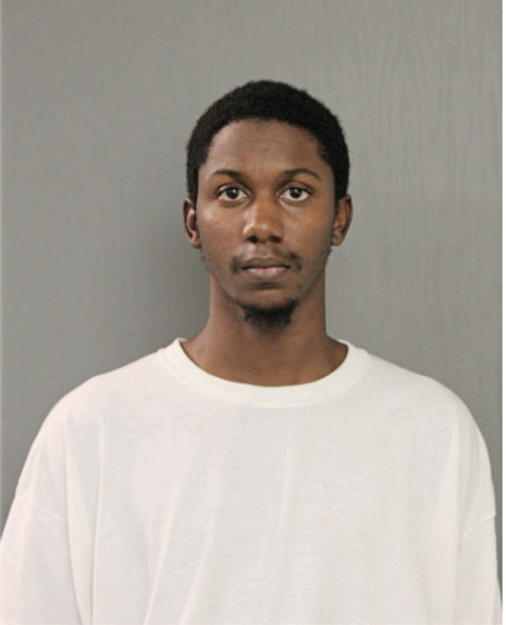 MICHAEL J DOSS, Cook County, Illinois