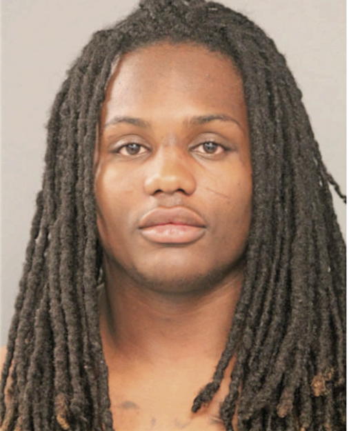 DEMARIUS L FLAKES, Cook County, Illinois