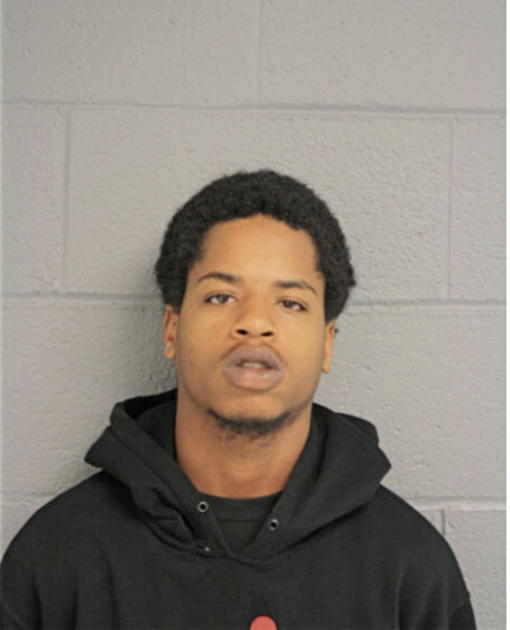 DAVID L FORD, Cook County, Illinois