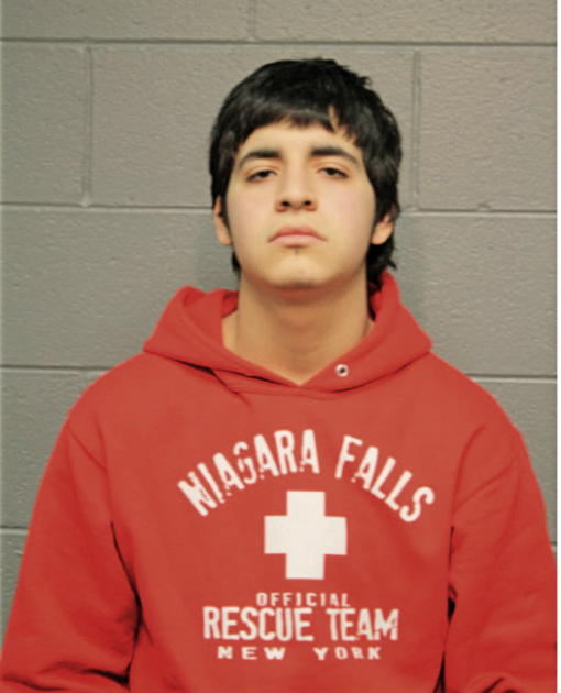JOEL GONZALEZ, Cook County, Illinois