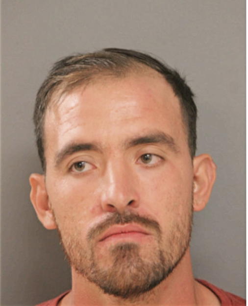 VICTOR G GONZALEZ, Cook County, Illinois