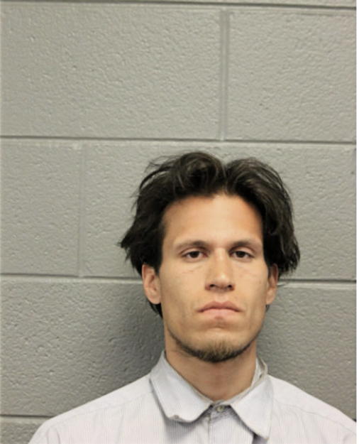 DAVID J GURNEAU, Cook County, Illinois