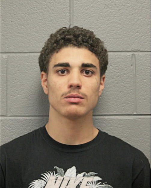 ANTHONY A HOLLINS, Cook County, Illinois