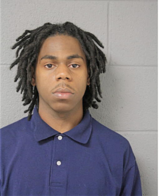 BRANDON T HUBBARD, Cook County, Illinois