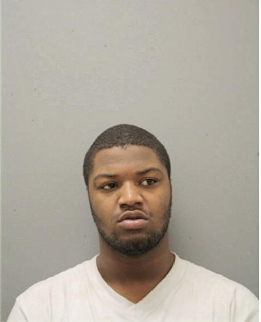 BRIAN J JACKSON, Cook County, Illinois