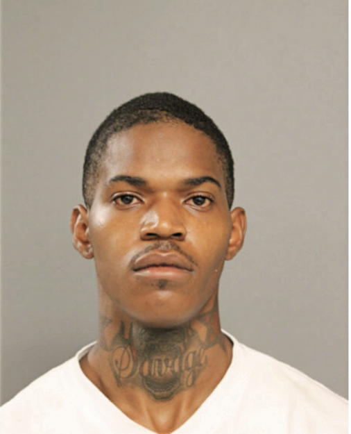 DARRELL A JOHNSON, Cook County, Illinois