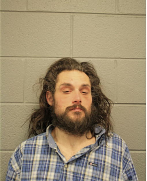 LOUIS LANCILOTI, Cook County, Illinois