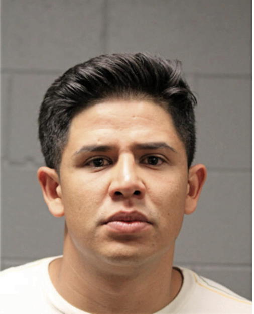 EDGAR LUNA, Cook County, Illinois