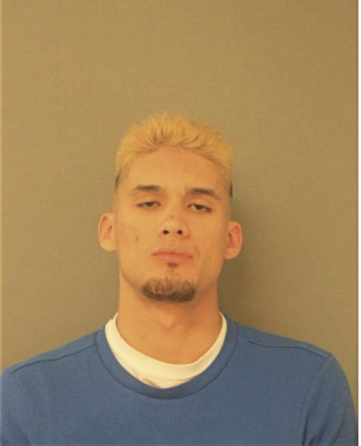 ISAAC A MENDEZ, Cook County, Illinois