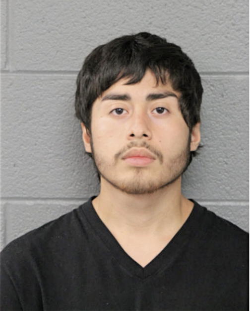 ISAIAH T MORALES, Cook County, Illinois
