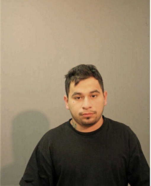SAUL I OCAMPO, Cook County, Illinois