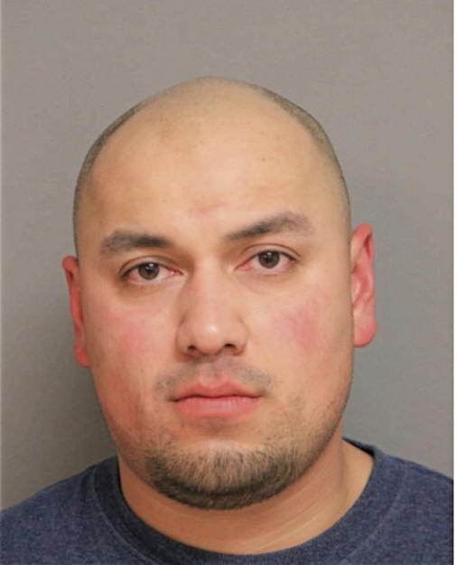 EDGAR R RENTERIA, Cook County, Illinois