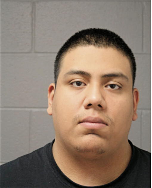 THOMAS J SINENTAL, Cook County, Illinois