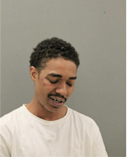 KYLE S SMITH, Cook County, Illinois
