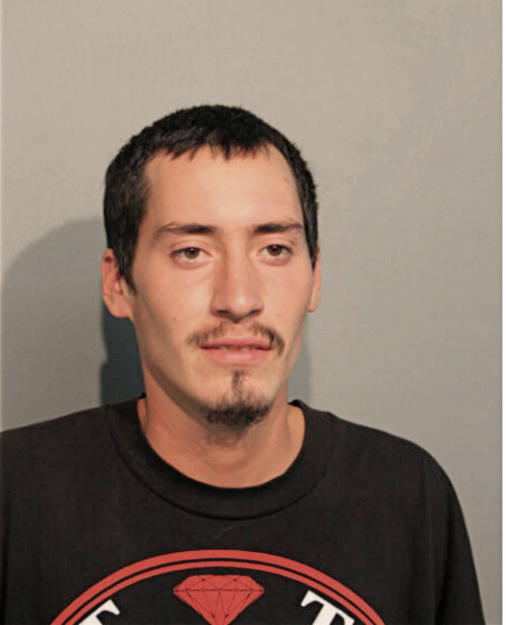MICHAEL L VELASQUEZ, Cook County, Illinois