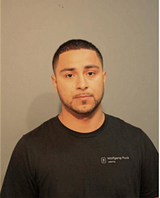 RODOLFO ALVARADO, Cook County, Illinois