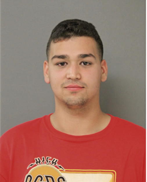 ANTHONY L AMATO, Cook County, Illinois