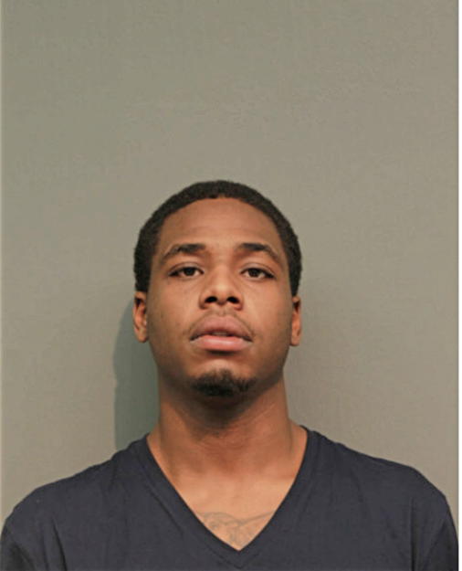 BRYSON J BLACKMON, Cook County, Illinois