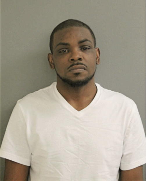 MICHAEL S BROWN, Cook County, Illinois