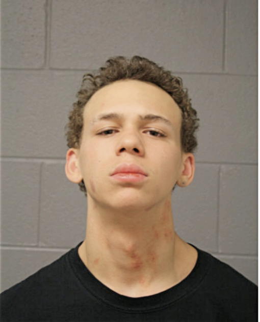TRENT T BROWN, Cook County, Illinois