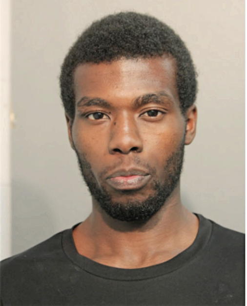 TERRELL DESHAWN FORT, Cook County, Illinois