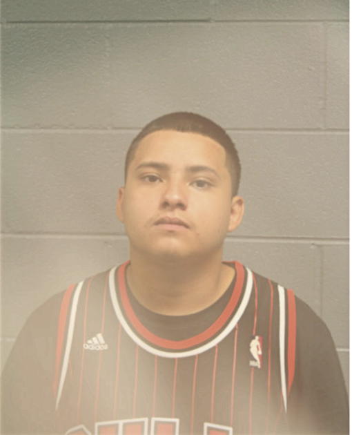 EDWIN A DIAZ, Cook County, Illinois