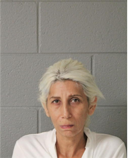 DIANE EVANS, Cook County, Illinois