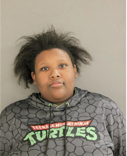 SIERRA FORD, Cook County, Illinois