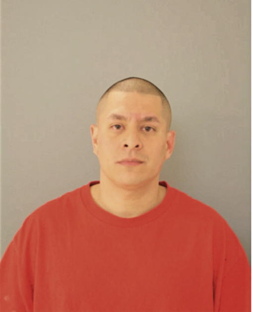 MICHAEL A FOX, Cook County, Illinois