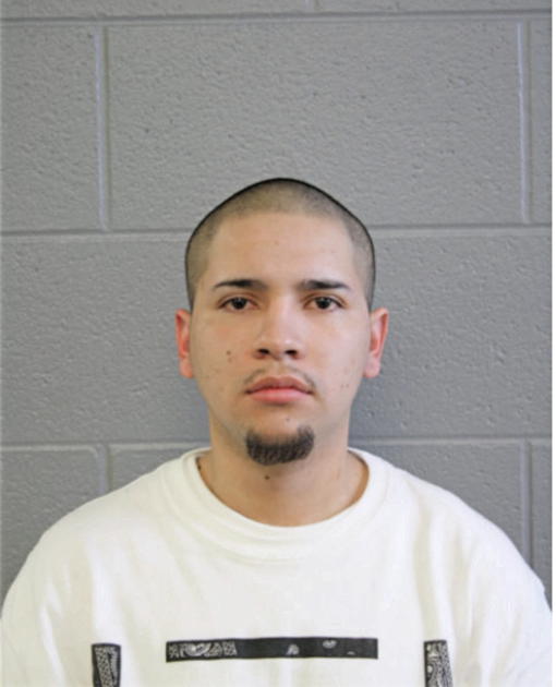 HECTOR GARCIA, Cook County, Illinois