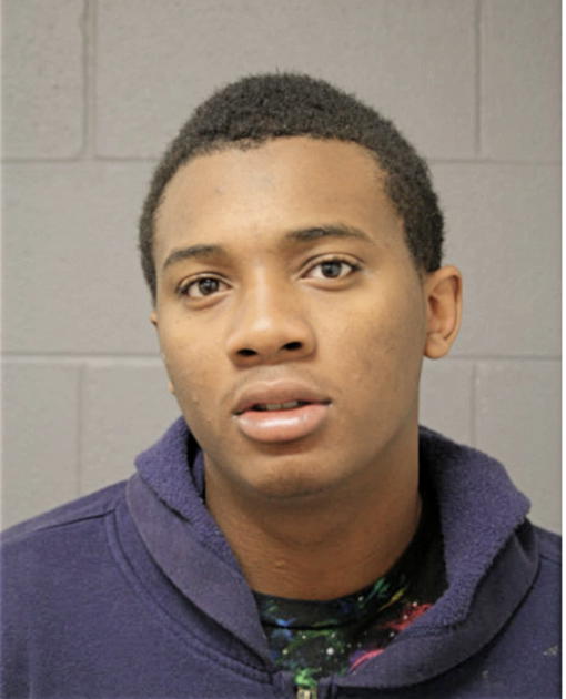 STEFAN M HOLLINS, Cook County, Illinois