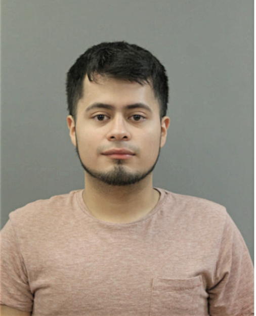 ENRIQUE IBARRA, Cook County, Illinois