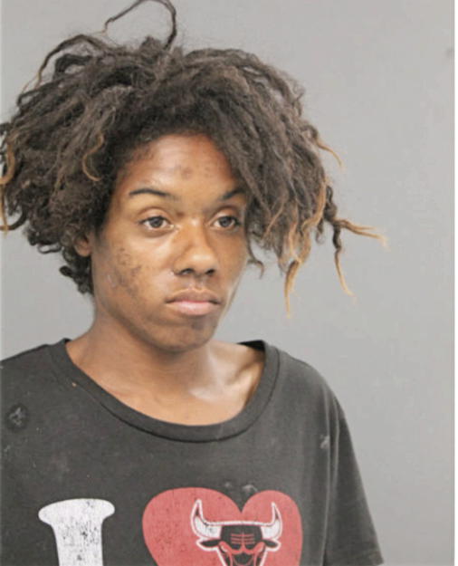 DELORA D JOHNSON, Cook County, Illinois