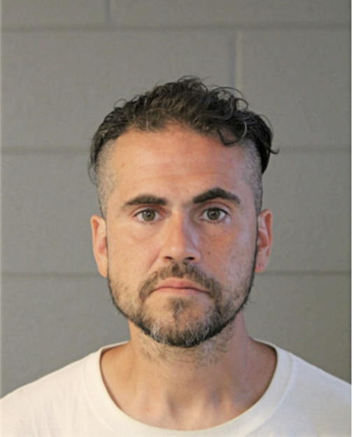 GREGORY L LIDDELL, Cook County, Illinois