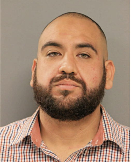 BRIAN H MARIN, Cook County, Illinois