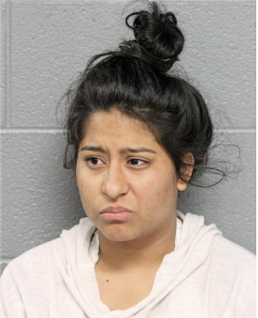 YULISSA C MARTINEZ, Cook County, Illinois