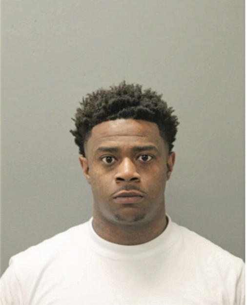 JOHNATHAN D MATTHEWS, Cook County, Illinois