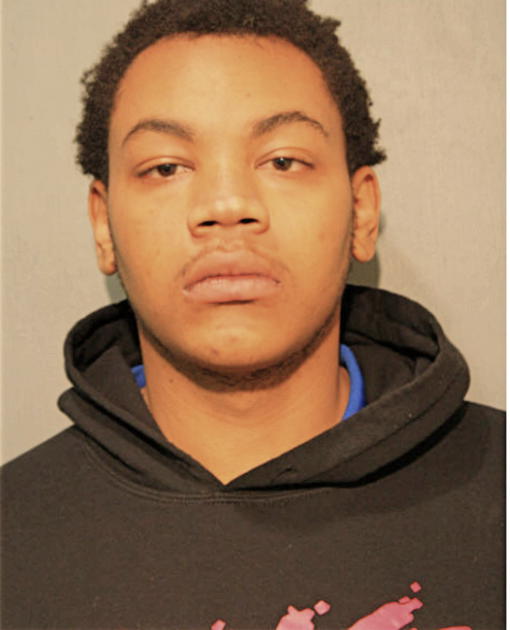ERNEST E PAGE JR, Cook County, Illinois