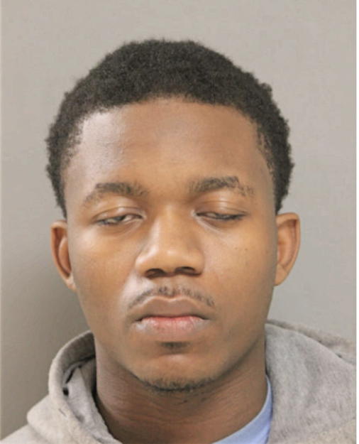 WESLEY L PATTON, Cook County, Illinois