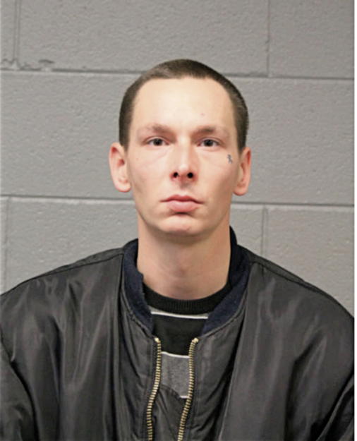 MICHAEL C RADICK, Cook County, Illinois
